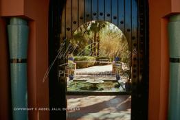 Image du Maroc Professionnelle de  Le Jardin Majorelle une pure merveille crée par le peintre français Jacques Majorelle, qui a eu le coup de foudre pour Marrakech. Yves Saint Laurent et Pierre Bergé font l’acquisition de ce havre de paix durant les années quatre-vingt où Yves Saint Laurent dessina plusieurs pièces. son voeux était de faire de ce parc une œuvre d’art vivante. On y découvre des plantes provenant des cinq continents, yuccas d’Océanie, lotus d’Asie, cactus d’Amérique, palmiers d’Afrique et cyprès d’Europe …, à Marrakech le Lundi 18 Août 1997. ((Photo / Abdeljalil Bounhar) 